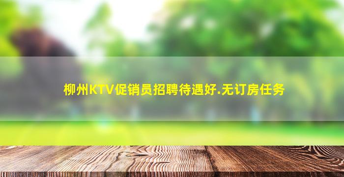 柳州KTV促销员招聘待遇好.无订房任务